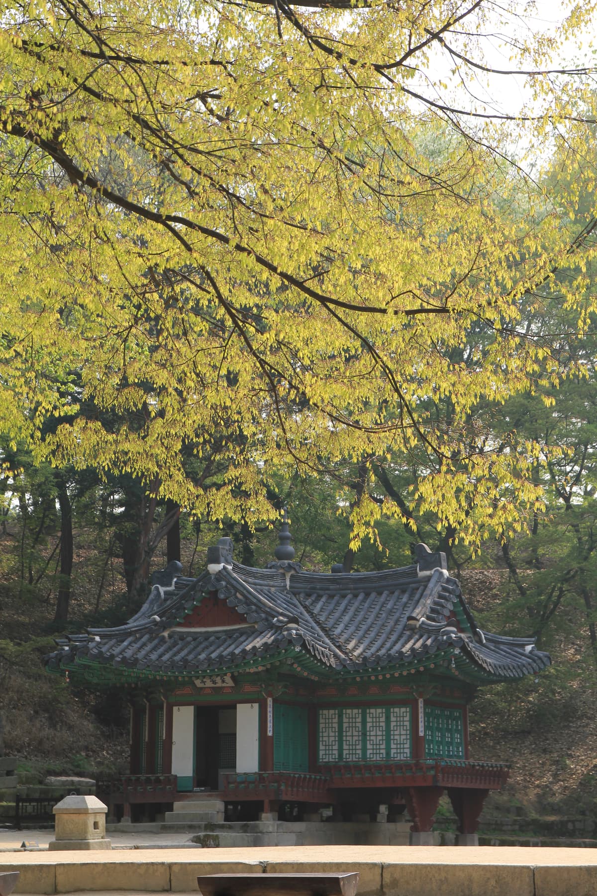 창덕궁 부용정. 창덕궁은 1405년 지어진 조선의 궁궐로, 자연 지형을 살린 배치가 아름다워 1997년 유네스코 세계유산에 올랐다. 부용정은 후원의 연못 부용지 남쪽에 세운 정자다. 정조가 이곳에서 신하들과…