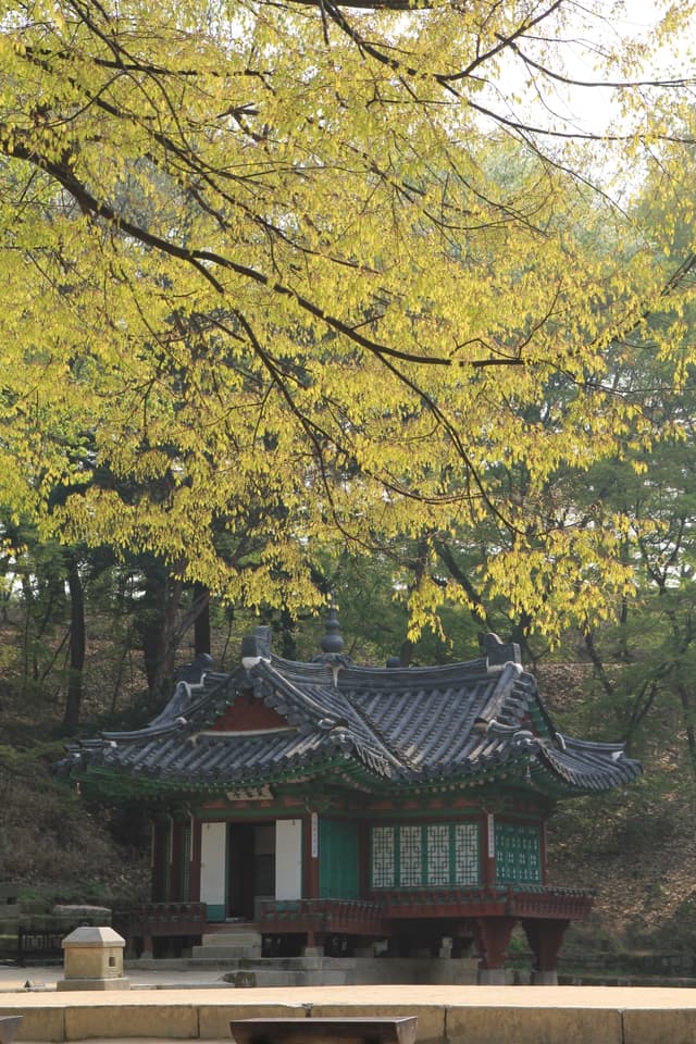 창덕궁 부용정